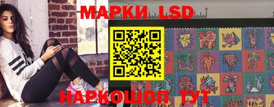 спайс Кингисепп