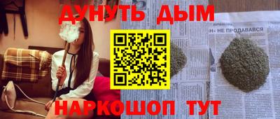 спайс Кингисепп