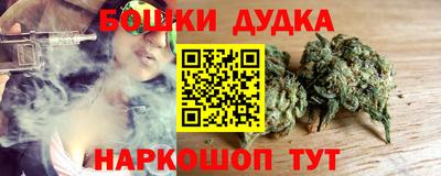 спайс Кингисепп