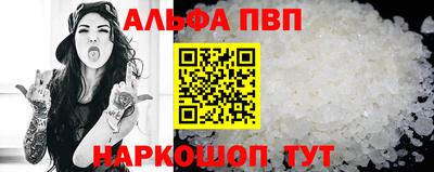 спайс Кингисепп