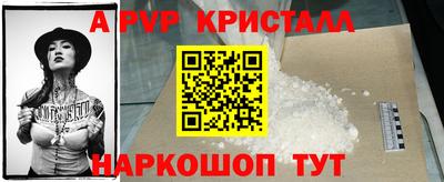 спайс Кингисепп