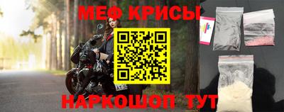 спайс Кингисепп
