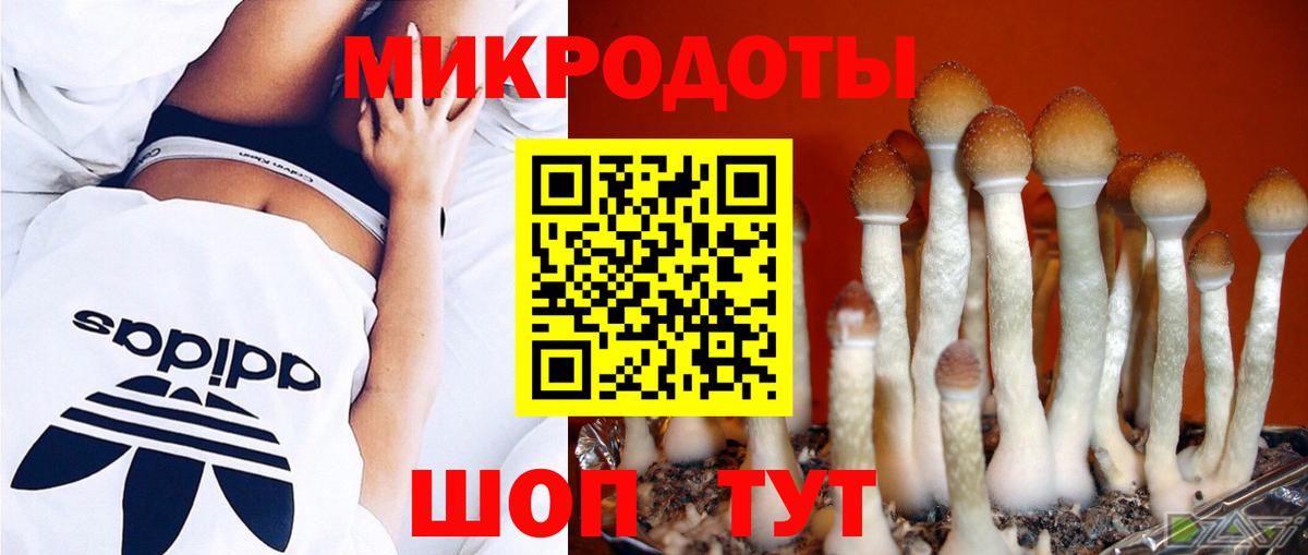 Галлюциногенные грибы мухоморы Котовск